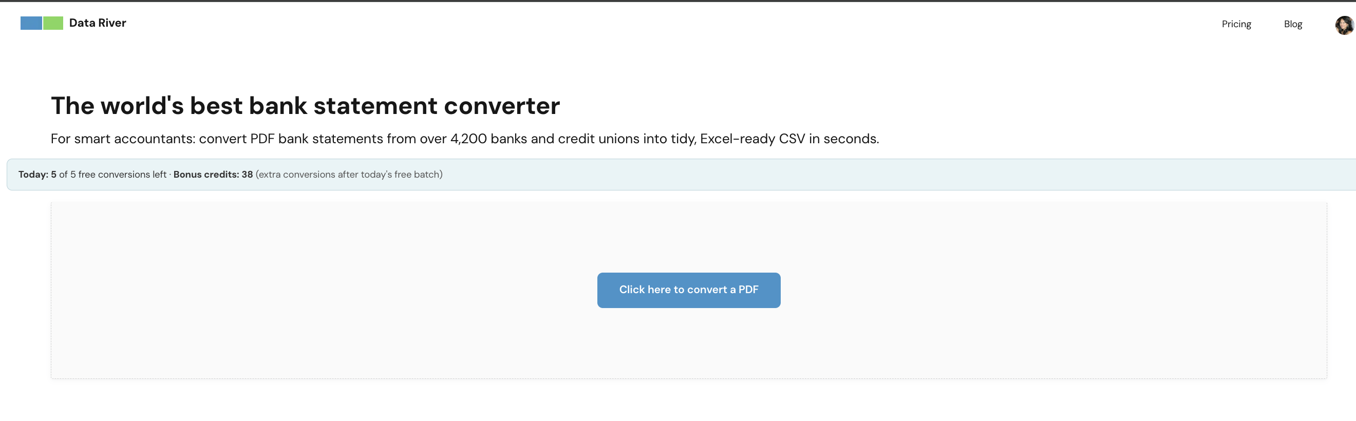 Data River's PDF bank statement converter tool